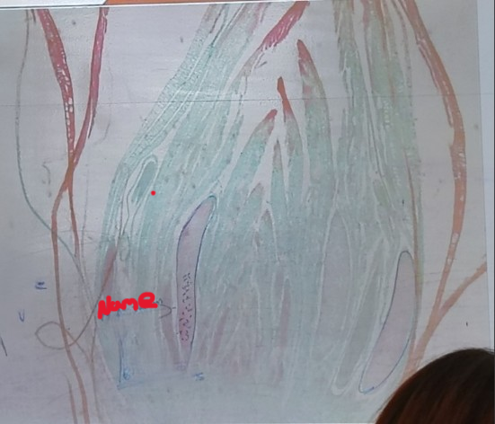 <ol><li><p>Name it</p></li></ol><p></p>