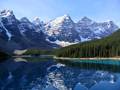 <p>the environment</p>