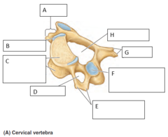 <p>What is B?</p>