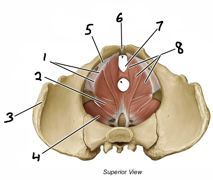 <p>2</p>