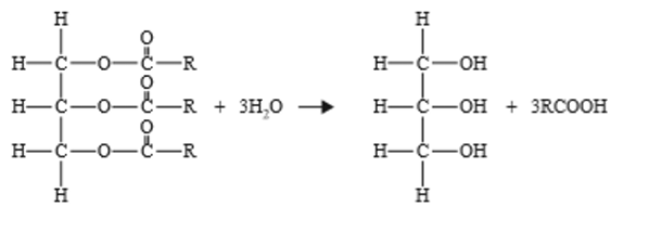 <p>glicerolo</p>
