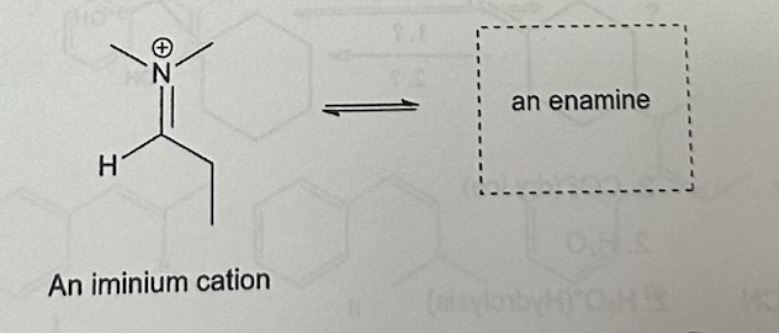 <p>The following rearrangement reaction is an example of an imine-enamine rearrangement reaction. Predict the correct enamine product assuming base is present in the solution. </p>