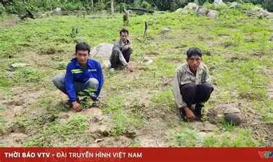 <p>(v) xâm phạm vào một nơi mà mình không được phép vào, nhưng intrude thường mang nghĩa xâm phạm một cách không mời hoặc làm phiền, và không dùng để miêu tả sự tác động lâu dài hoặc mở rộng</p>