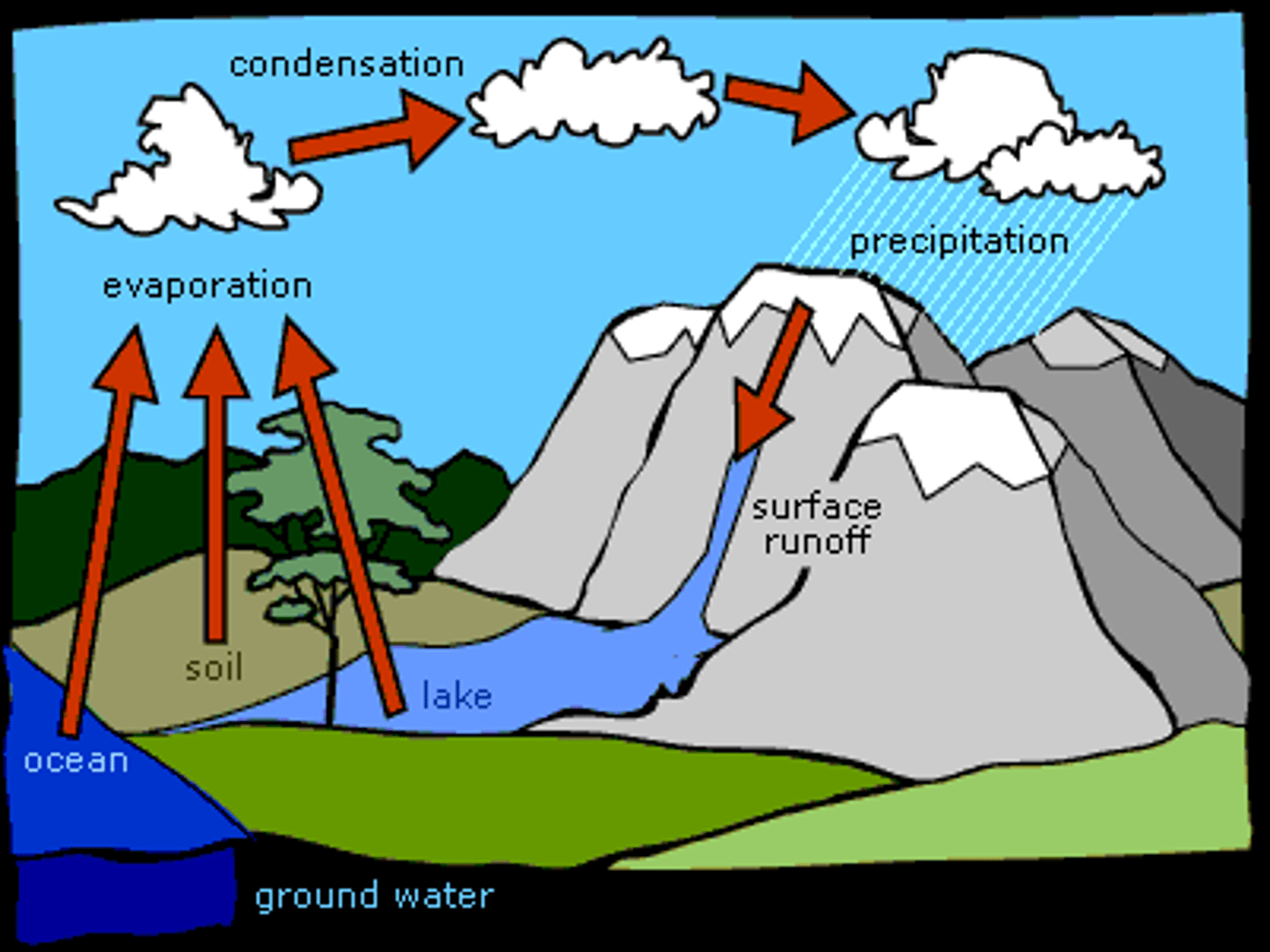 <p>The continuous process by which water moves from Earth's surface to the atmosphere and back.</p>