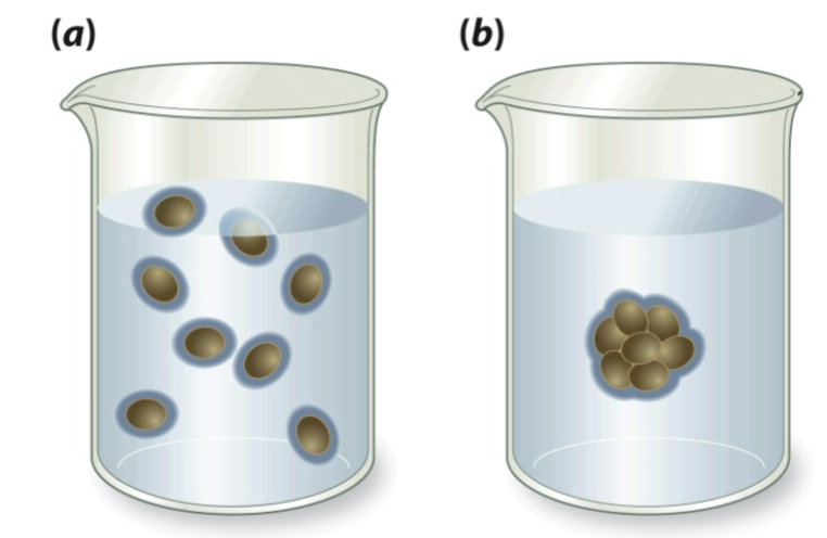 <p>describe entropy of the two figures and which is higher</p>