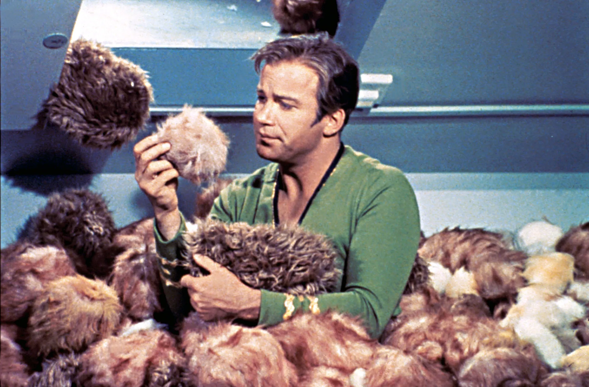<p>tribbles do not like?</p>