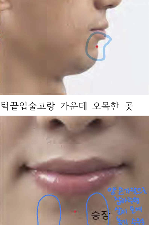 <p>턱끝입술고랑 가운데 오목한 곳</p>