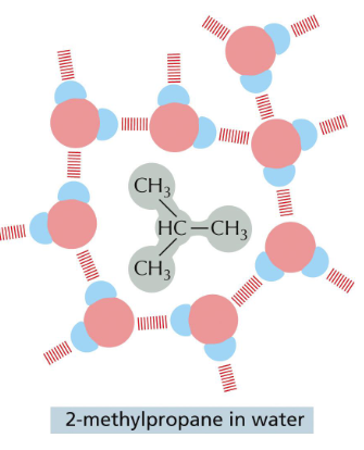 <p>Water molecules surround the nonpolar molecule without forming any bonds with it.</p>