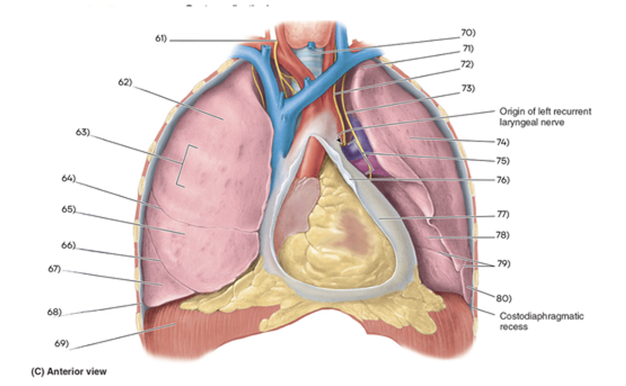 <p>what is 76</p>