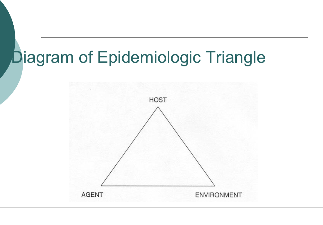 <p>Diagram of epidemiologic triangle</p>