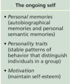 <p>Based on personal memories, traits, and motivations</p>