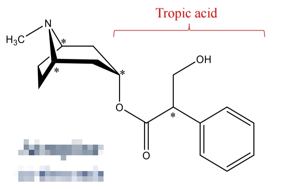 <p>Parasympatholytics</p>