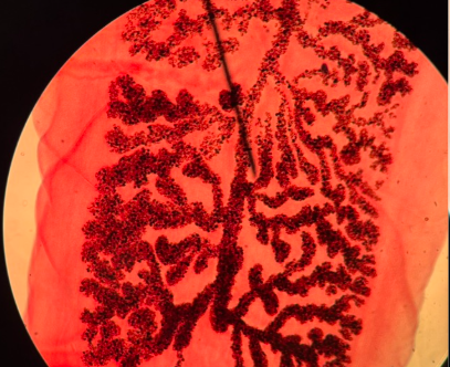 <p>What is this?</p>