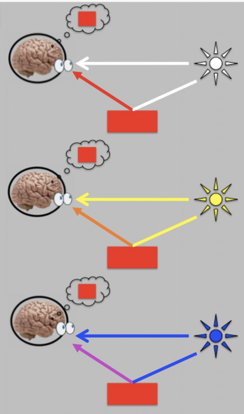 <p>We often discount the impact of the illuminant, the light itself hitting an object’s surface (color constancy). When hit by broadband white light a red object appears red, when hit by yellow light, the surface reflects orange, but we will likely still percieve red. </p>