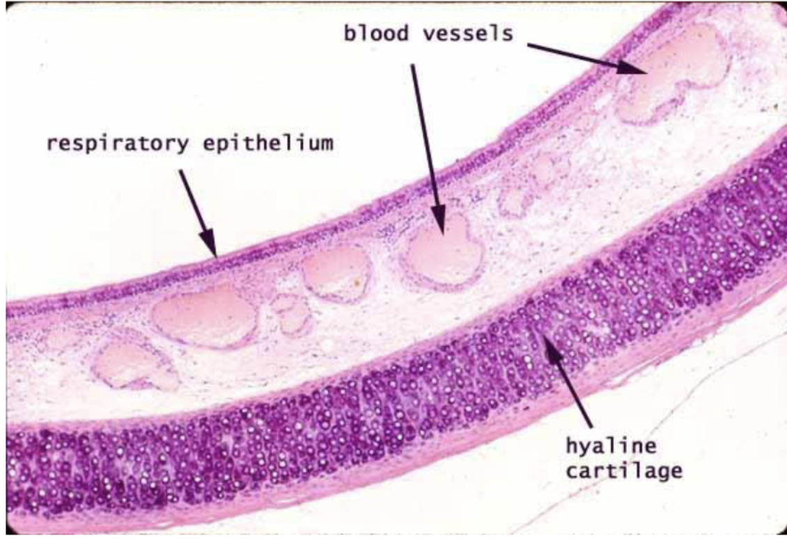 <p>What is this?</p>