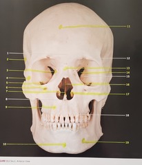 <p>5</p>