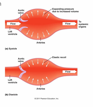 <p>In the arterioles (resistance vessels)</p>