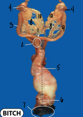 <p>What is 10?</p>