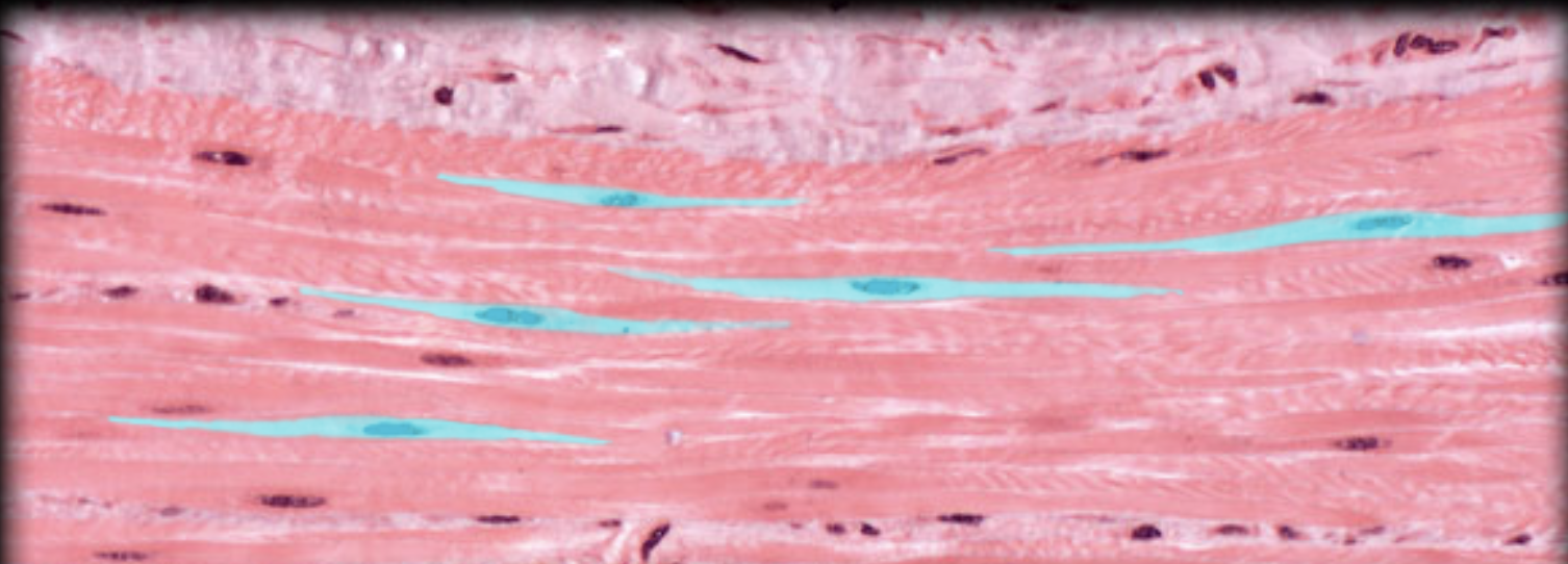 <p>What is highlighted</p>