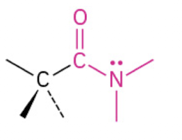<p>An organic compound derived from a carboxylic acid where the -OH group is replaced by an amine. (Endung:-amide)</p>