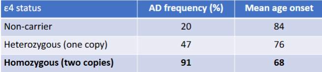 <ul><li><p>everyone has 2 Apo-E genes</p></li><li><p>protein that plays a role in cholesterol transport &amp; involved in normal metabolism of amyloid beta</p></li><li><p>3 forms: E2, E3, E4</p></li></ul><p></p>