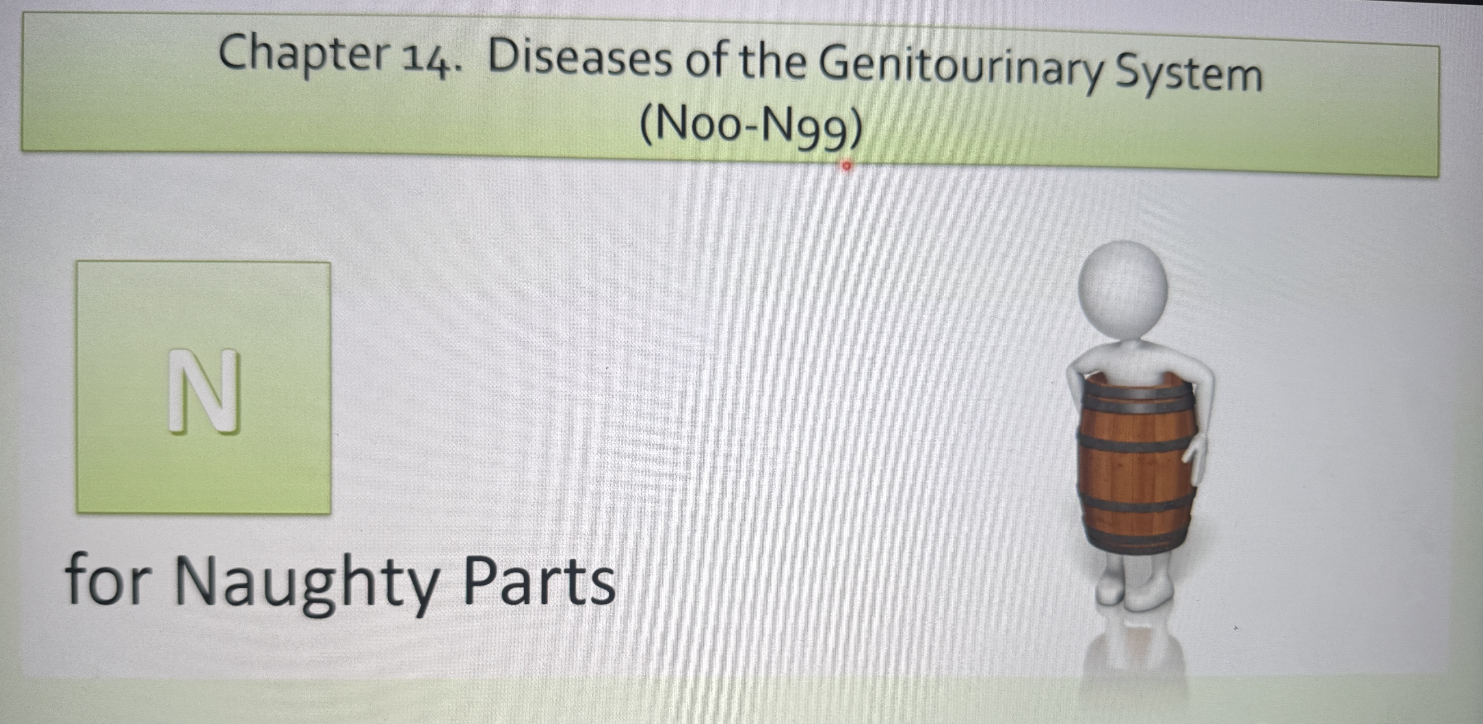 <p>N00-N99</p><p>diseases of the geintourinary system </p>