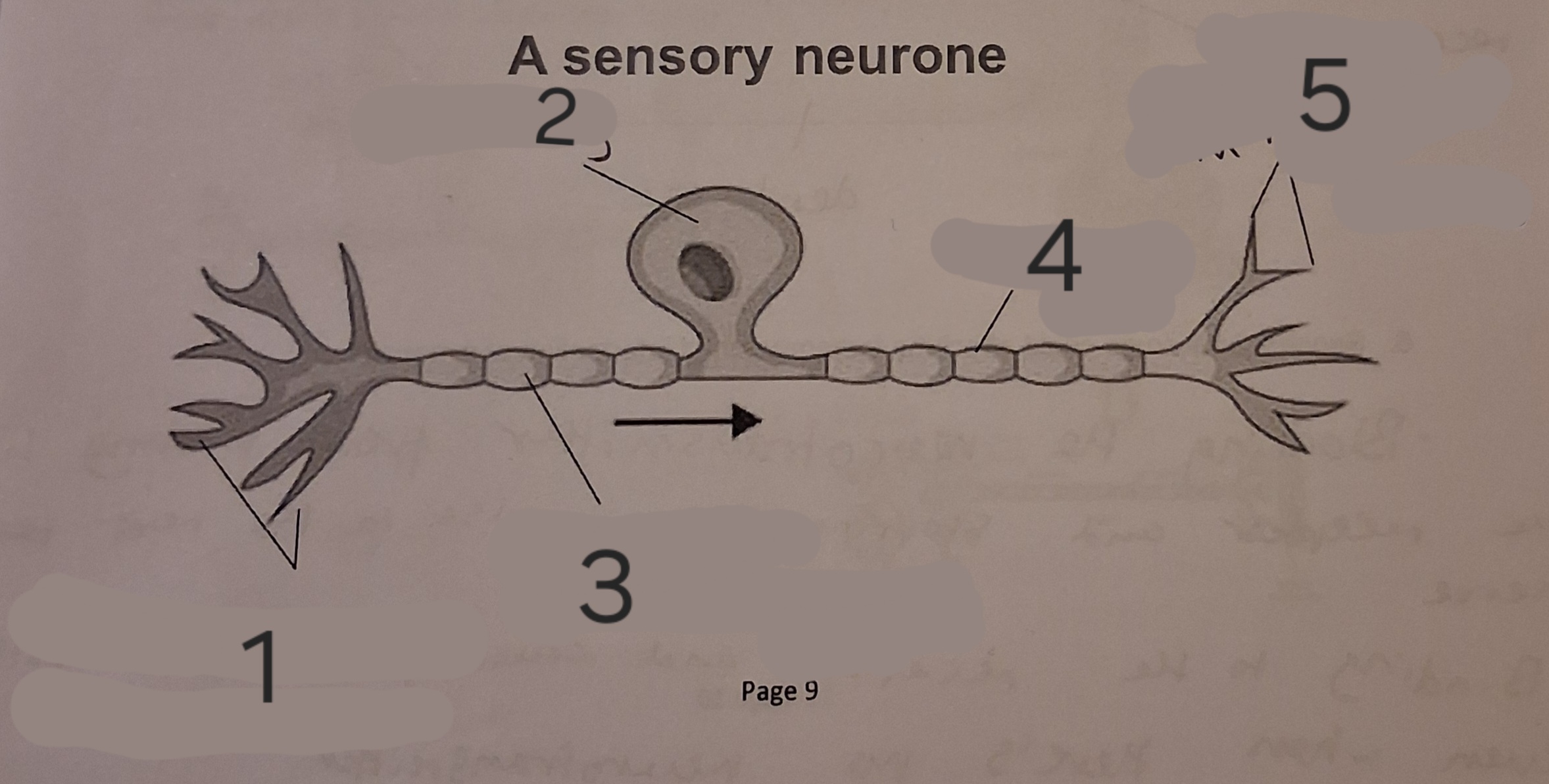 <p>Label the diagram</p>