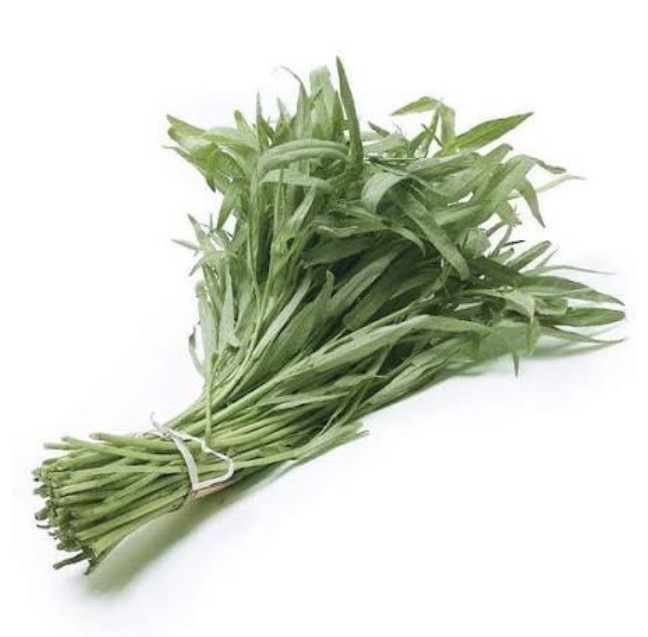 <p>On choy</p>