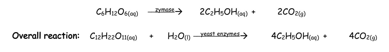 <ul><li><p>In the second reaction, glucose and fructose are converted to ethanol and carbon dioxide by the enzyme zymase</p></li></ul><p></p>
