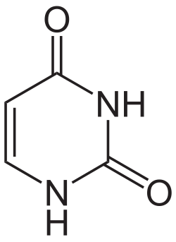 <p><span>Identify the following nitrogenous base:</span></p>
