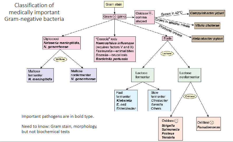 <p>DIAGRAM ON SLIDE 5</p>