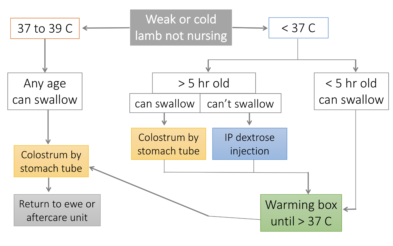 knowt flashcard image