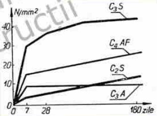 <p>C<sub>3</sub>S - rezistenţă mecanică mare<br>C<sub>4</sub>AF - rezistenţă mecanică medie iniţială; creștere lentă<br>C<sub>2</sub>S - rezistenţă mecanică mică iniţială; creștere lentă<br>C<sub>3</sub>A - rezistenţă mecanică mică; atinge maximul în primele 7 zile</p>
