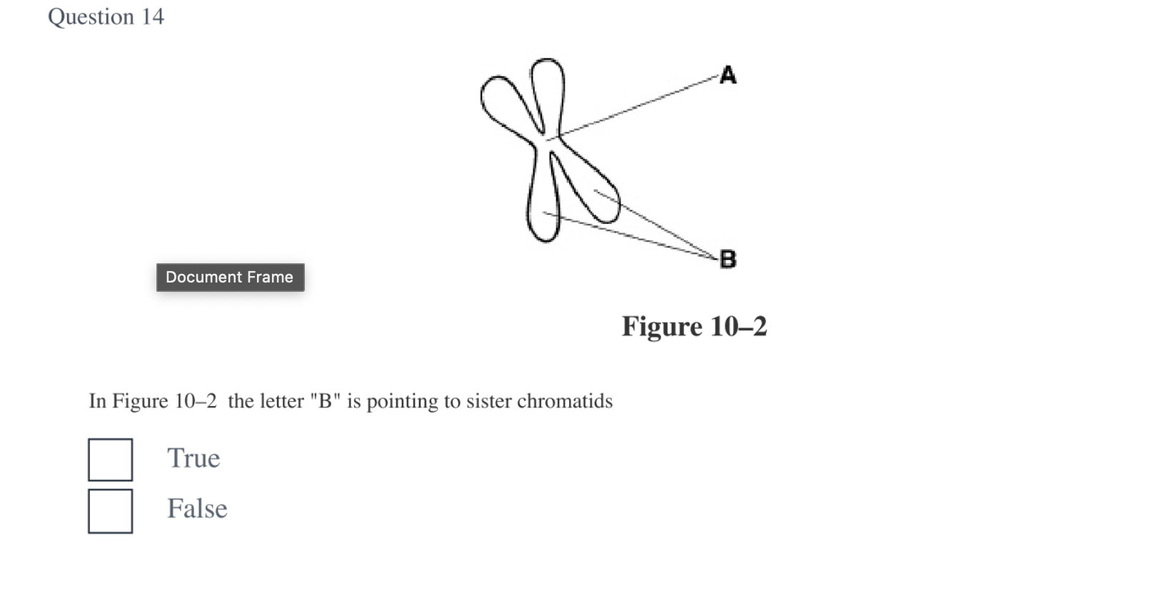 <p><span>In Figure 10–2 the letter “B” is pointing to sister chromatids. True or False?</span></p>