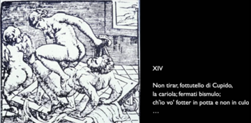 term image