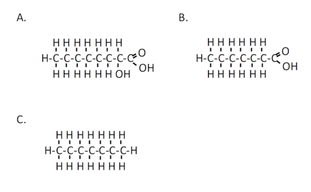 <p><span>Oxidation of which of the following molecules will produce the largest amount of energy?</span></p>