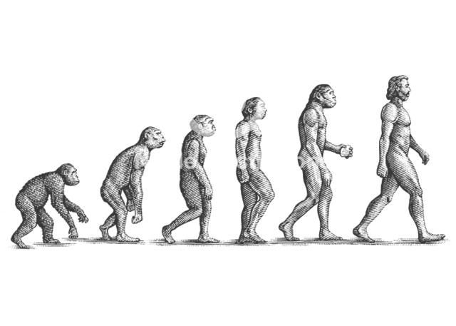 <p><span>evolve as</span><br><span>e.g. One of the most rewarding aspects of life is the opportunity to evolve as a human being. I believe we evolve as human beings every time we step outside our comfort zone.</span></p>