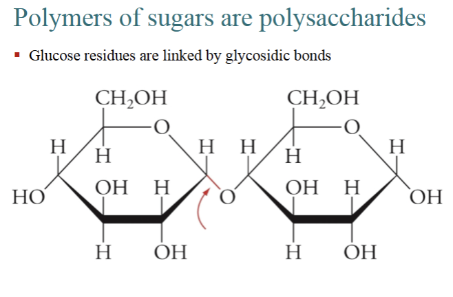 <p>Glucose residues are linked by <strong>glycosidic </strong>bonds. </p>