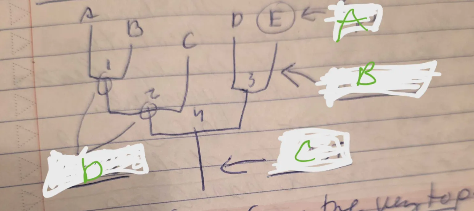 <p>What is the sister group of the nonelectronically drawn group C here</p>