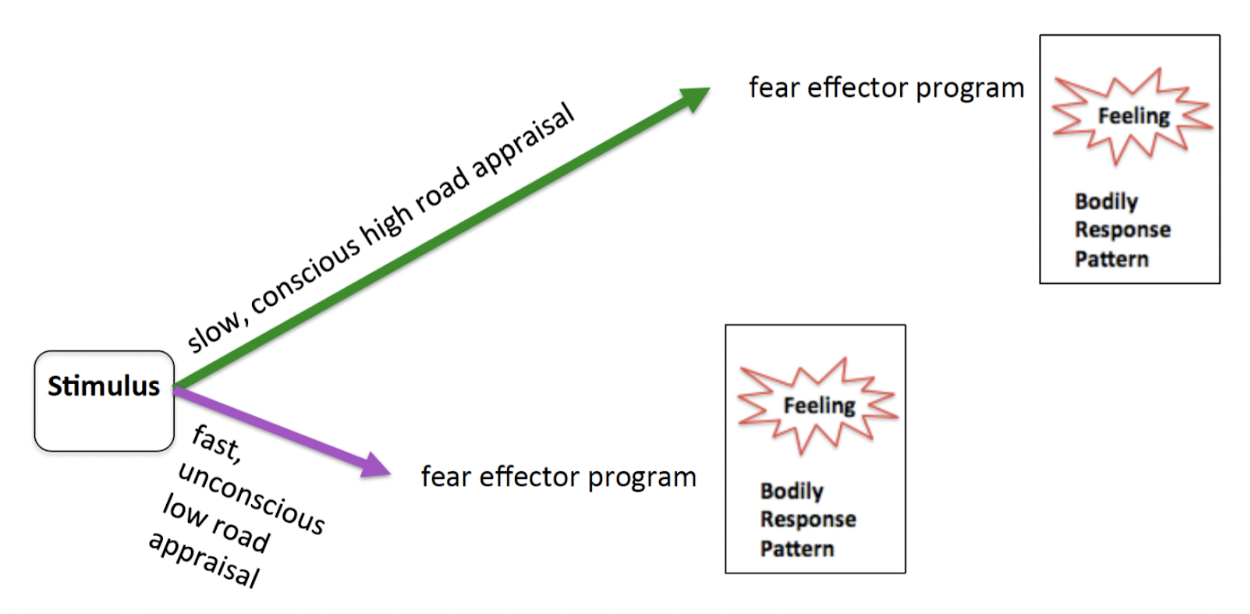 <p>Incorporates both high level conscious appraisal (via high road/slow pathway) and low level subconscious appraisal (via low road/fast pathway)</p><p>Note: blindsight is also a dual pathway with both conscious and subconscious processing.</p>