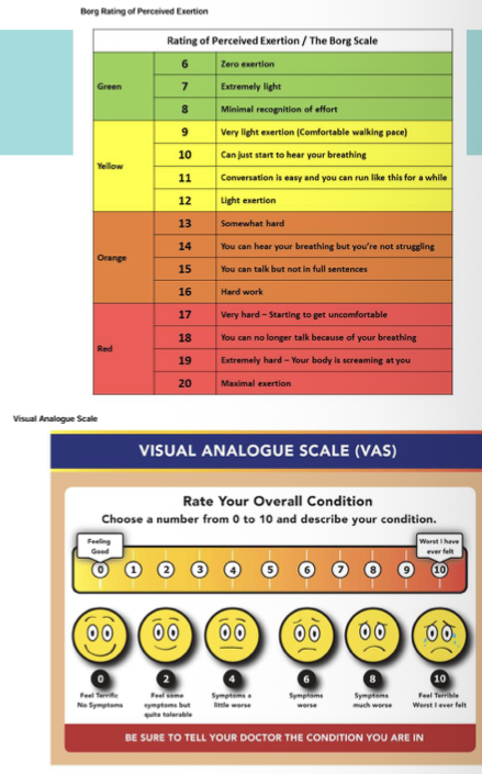 <ul><li><p><span>A graded exercise test used after a mTBI to assesses exercise tolerance</span></p></li><li><p class="p1"><span>Identifies physiological dysfunction, autonomic symptoms</span></p></li><li><p class="p1"><span>Guides safe, individualized aerobic activity to speed recovery</span></p></li></ul><p></p>