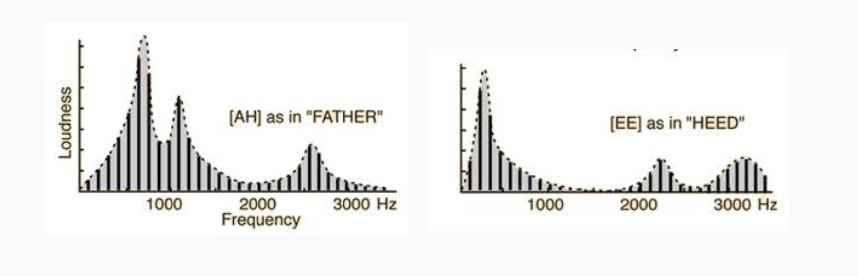 <p>“attribute of auditory sensation in terms of which a listener can judge that two sounds similarly presented and having the same loudness and pitch are dissimilar”</p><p>→ anything about sound that isn’t loudness or pitch or position in space that makes the sound different</p><p>two different vowels set at the same pitch → generate pulse train → they have constant pitch → vocal tract is filtering that pulse train to make it have a different frequency envelope </p><ul><li><p>humps in the frequency domain here as formants → particularly the position of the first and second formants is what allows you to identify different vowel sounds.</p></li></ul><p></p><p>!! this ability to discriminate timbre based on these spectral envelopes is really important for for human speech.</p><p></p>