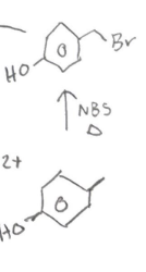 <p>Adds a Br on less sub with extra carbon. </p>