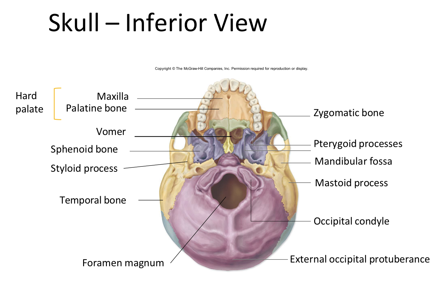 term image