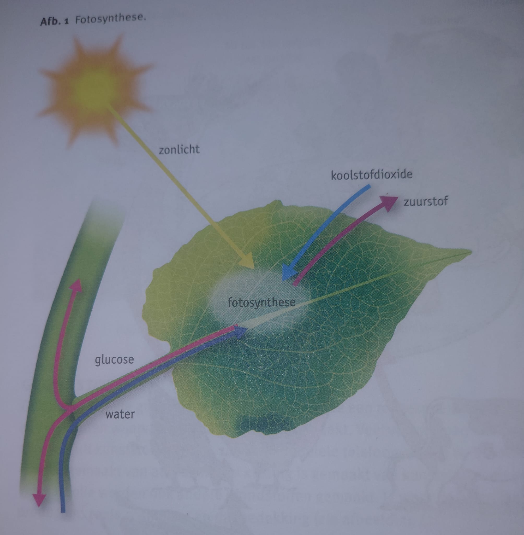 <p>zuurstof</p>
