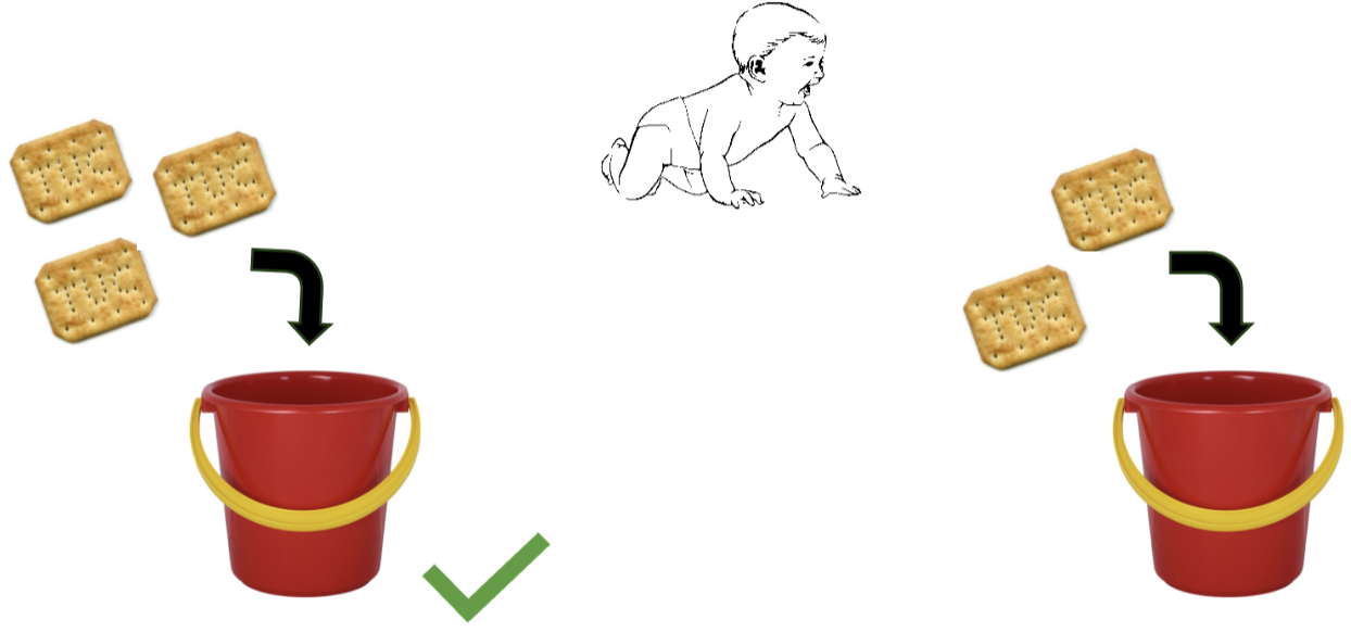 <ul><li><p>age: 10-12 months </p></li><li><p>two buckets in the opposite side of the room in the corners</p></li><li><p>shake the buckets & put in a number of crackers</p></li><li><p>which bucket has more crackers?</p><ul><li><p>mum releases baby, which bucket they crawl to</p></li></ul></li></ul><p></p>