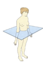 <p>transverse plane that extends below the lower border of the ribs</p>