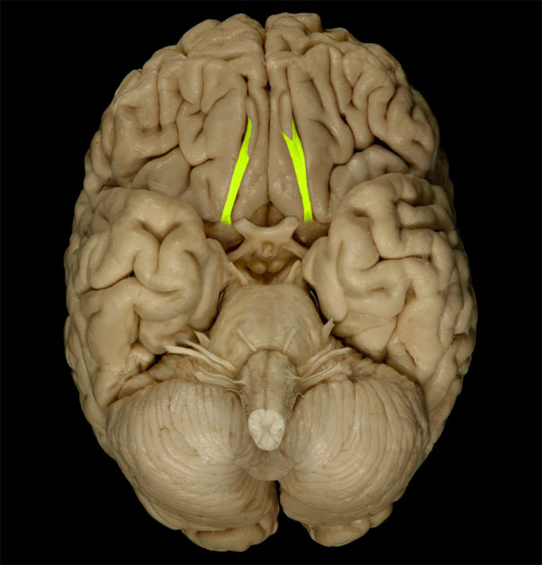 <p></p>