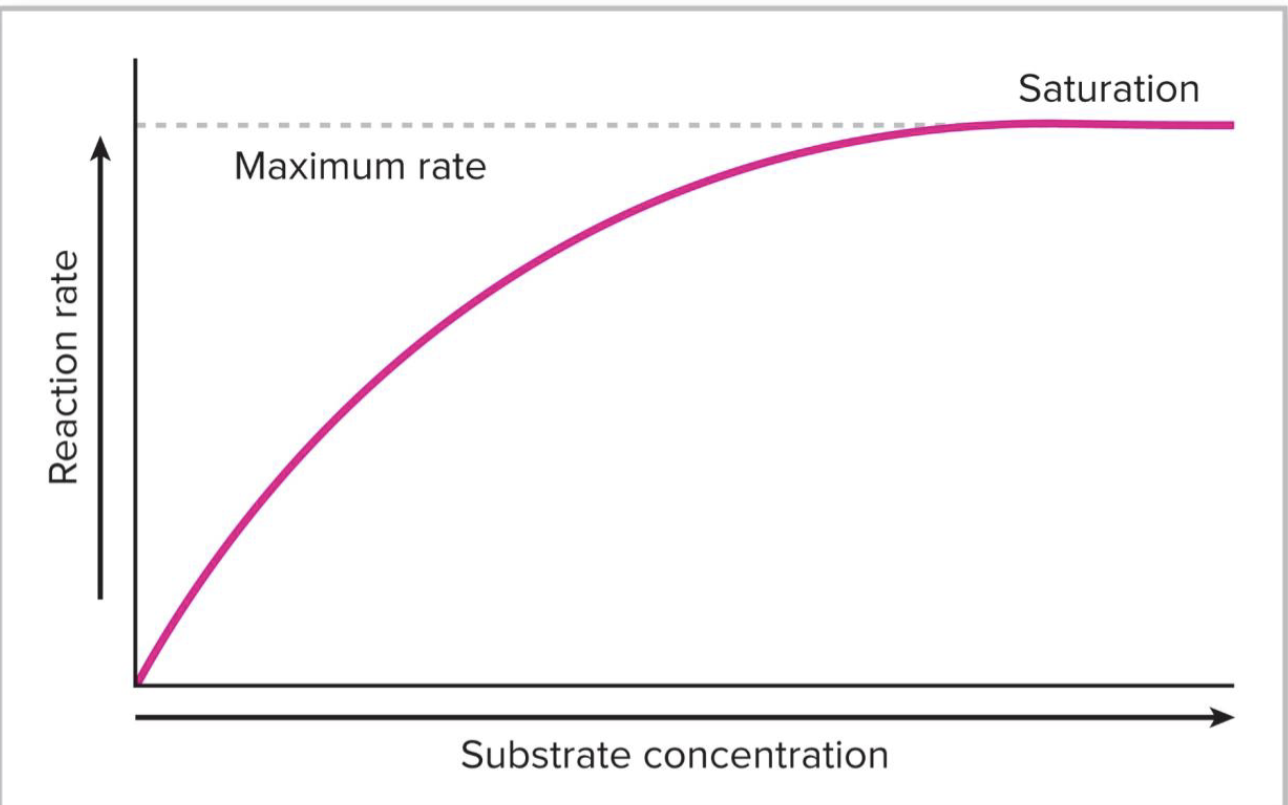 <ul><li><p>Factor in enzyme-catalyzed reactions </p></li><li><p>Rate of reaction increases until enzymes are at maximum saturation </p></li></ul><p></p>