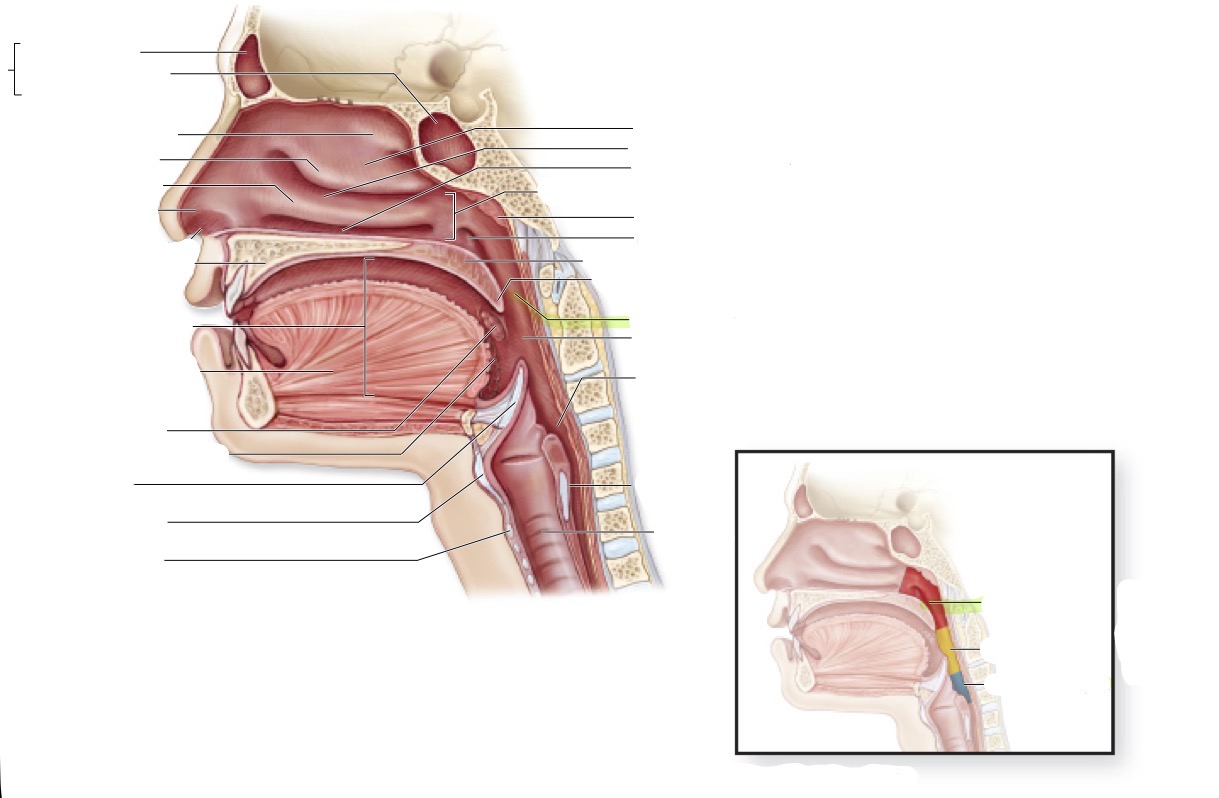 <p>what is this </p>